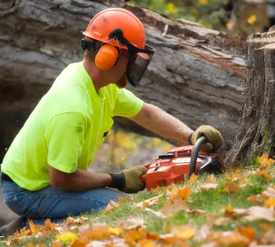 tree services Avon